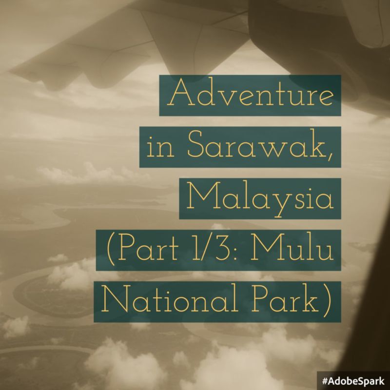 Mulu National Park (Adventure in Sarawak, Malaysia Part 1/3)