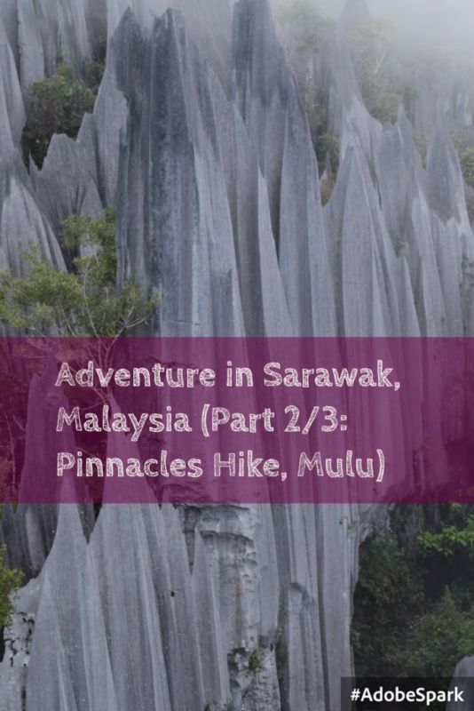 Pinnacles Hike, Mulu (Adventure in Sarawak, Malaysia Part 2/3)