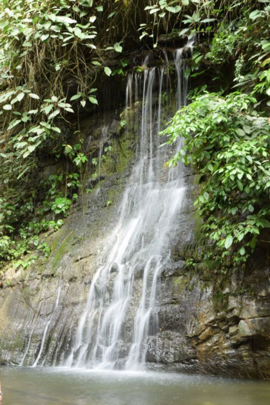 Paku Waterfall 