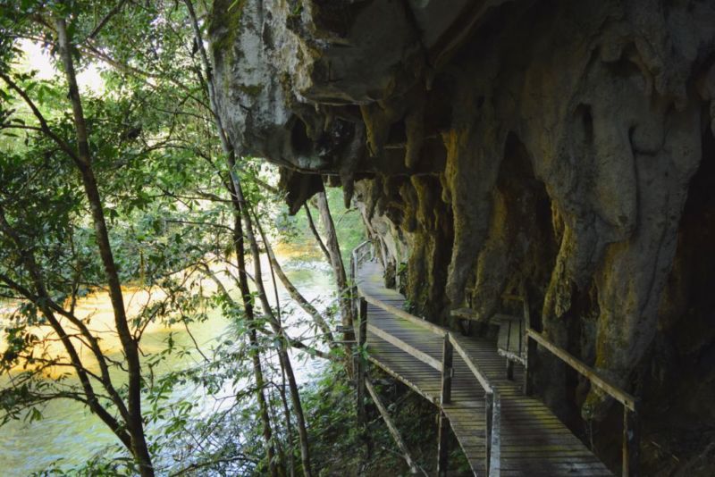 Wooden pathway to Clearwater Cave @2015 Wooden pathway to Clearwater Cave @2015 (The Pinnacles Hike, Mulu National Park)