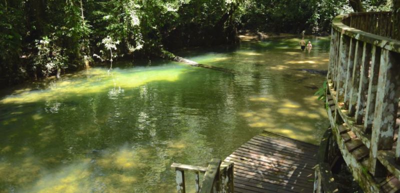 Swimming spot at Clearwater Cave entrance @2015 Swimming spot at Clearwater Cave entrance @2015 (The Pinnacles Hike, Mulu National Park)