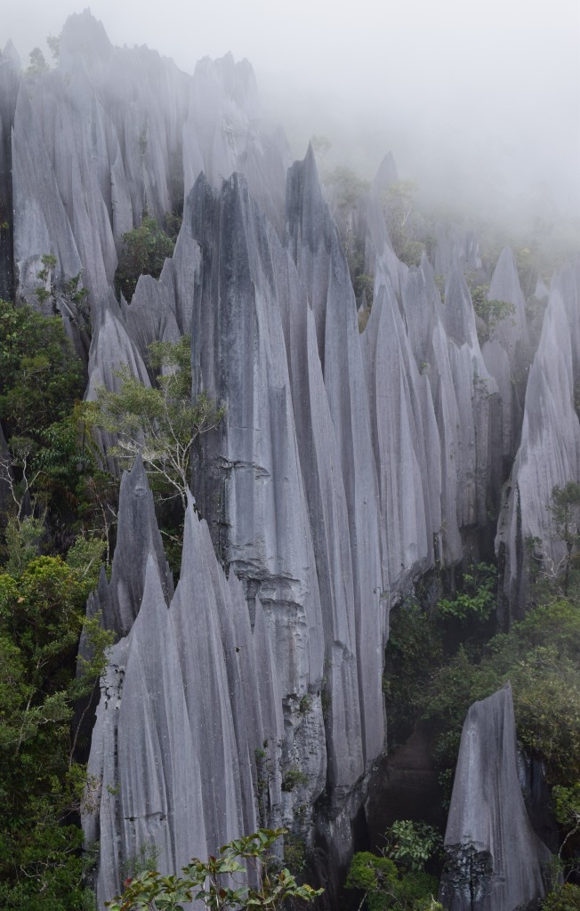 The Pinnacles, Mulu @2015 The Pinnacles, Mulu @2015