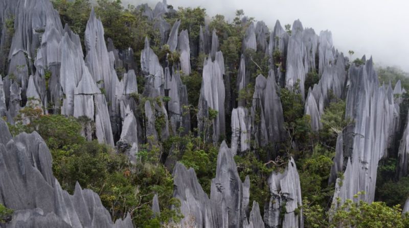 The Pinnacles, Mulu @2015 The Pinnacles, Mulu @2015