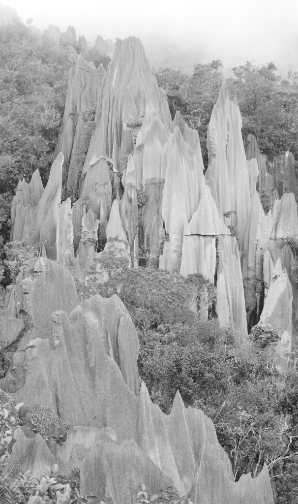 The Pinnacles, Mulu @2015 The Pinnacles, Mulu @2015