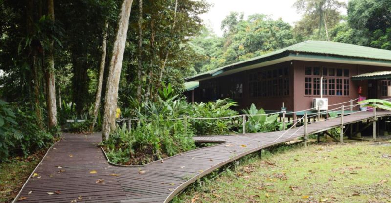 Dorm at Mulu National Park HQ @2015