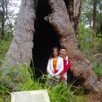 Ancient Empire, Walpole