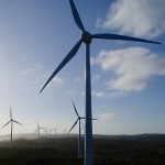 Albany Wind Farm