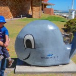 Whale World, Albany