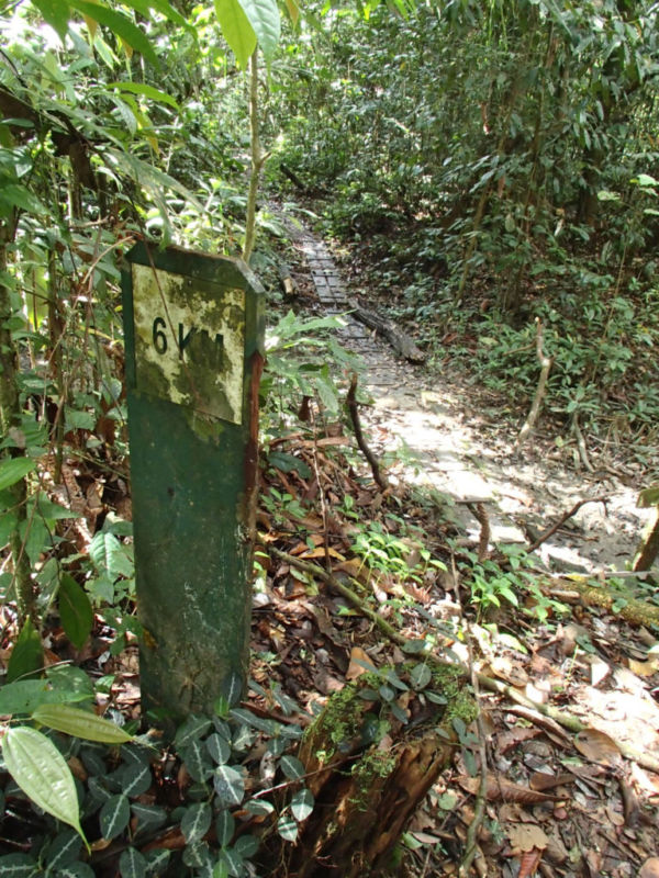 6km mark at trail to Camp 5 @2015 6km mark at trail to Camp 5 @2015 (The Pinnacles Hike, Mulu National Park)
