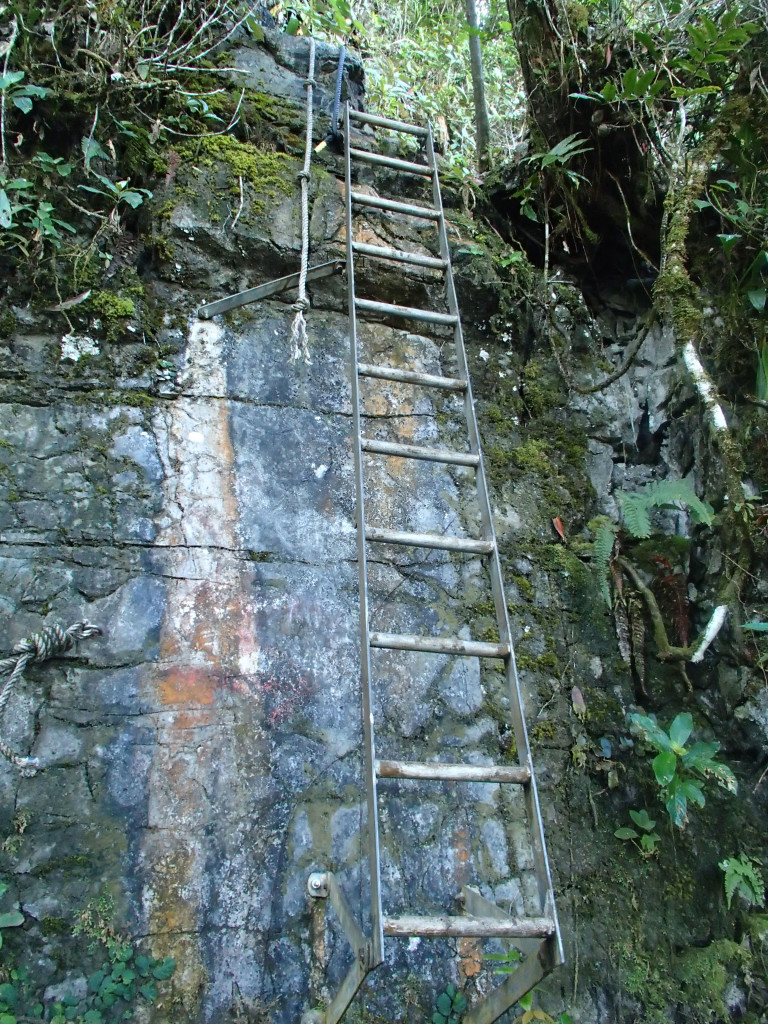 First of the 16 ladders @2015 First of the 16 ladders @2015