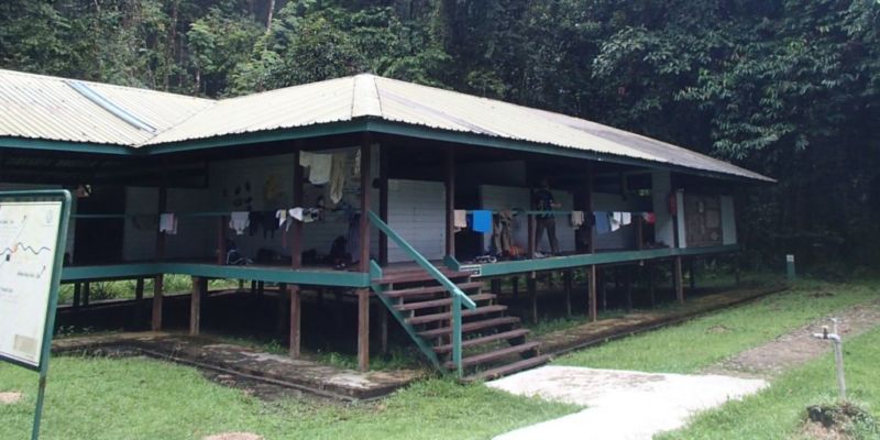 Camp 5 @2015 Camp 5 @2015 (The Pinnacles Hike, Mulu National Park)