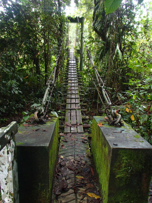 Midpoint suspension bridge @2015 Midpoint suspension bridge @2015