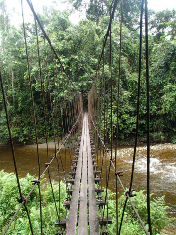 Midpoint suspension bridge @2015 Midpoint suspension bridge @2015