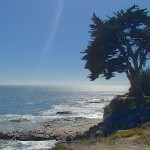Along West Cliff Drive, Santa Cruz, California