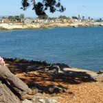 Along West Cliff Drive, Santa Cruz, California