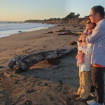 Moonstone Beach, Cambria, California