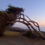 Moonstone Beach, Cambria, California