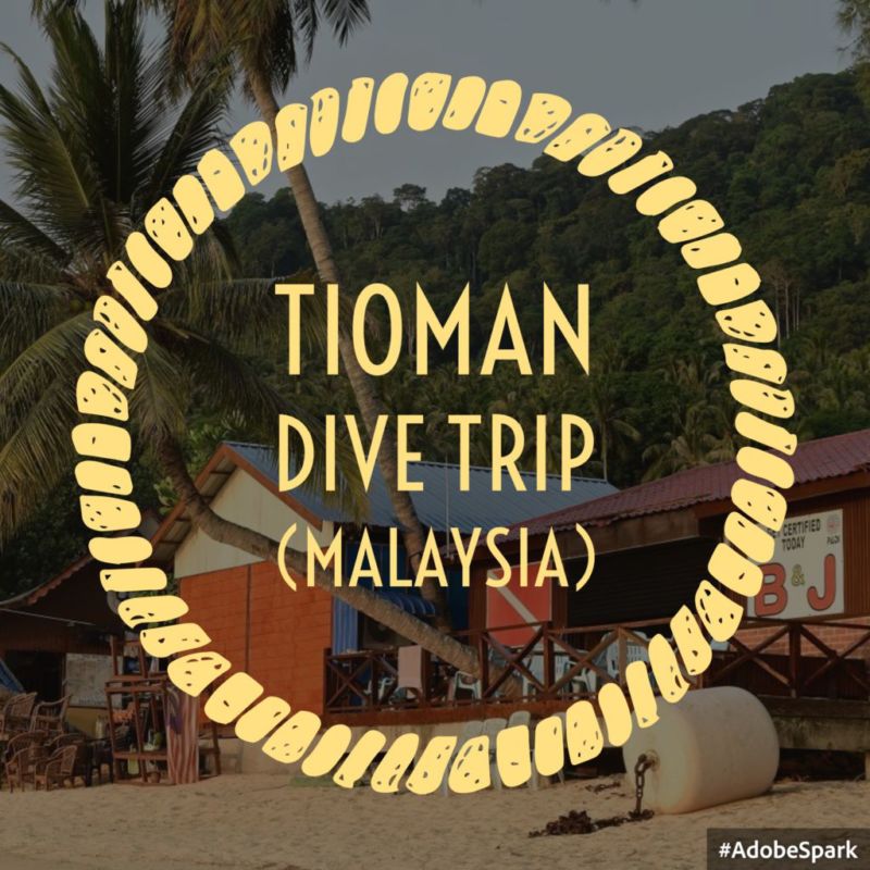 Tioman Dive Blog (Malaysia, May 2015)