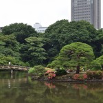 Tokyo (Free & Easy Tokyo)