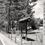 Pathway to Todaiji, Nara