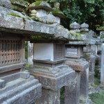 Stone lanterns at Kasuga Grand Shrine, Nara