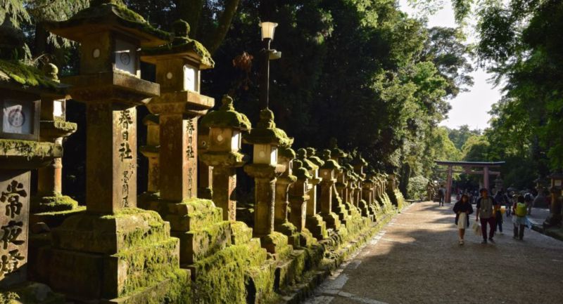 Stone lanterns lining the pathways leading back to train station @2015