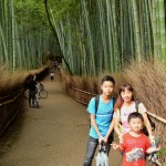 Bamboo Grove, Arashiyama, Kyoto