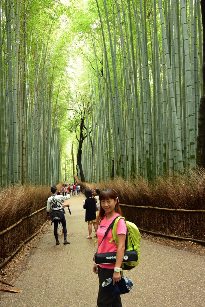 Bamboo Grove, Arashiyama @2015 Bamboo Grove, Arashiyama @2015