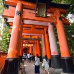 First row of torii gates, Fushimi Inari, Kyoto