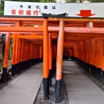 Opposite end of Senbon Torii, Fushimi Inari, Kyoto