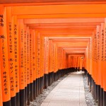 Senbon Torii, Fushimi Inari, Kyoto