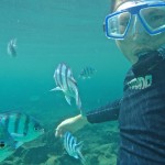 Snorkelling at Salang beach, Tioman