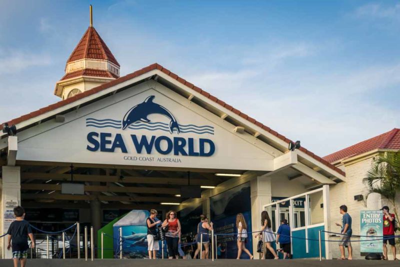 Sea World (Top places to visit in Gold Coast)