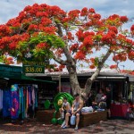 Carrara Markets (Top Places to visit in Gold Coast)