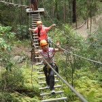 TreeTop Challenge: Huge variety of obstacles.