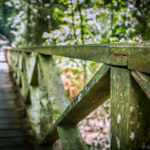 Niah National Park