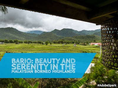 Things to do in Bario (Borneo Highlands, Sarawak, Malaysia)