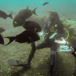 I heard they say humans aren't honest. They were right.