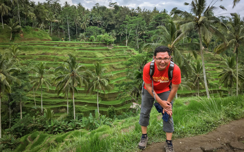Tegalalang Rice Terrace (Bali)