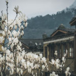 ShuiMoZhen (水磨镇)