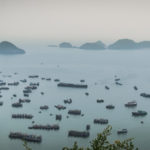 Cat Ba Island