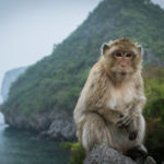 Monkey Island (Lan Ha Bay, Vietnam)