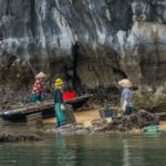 Locals harvesting oyster in Lan Ha Bay (Vietnam)