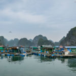 Fishing village, Lan Ha Bay (Vietnam)