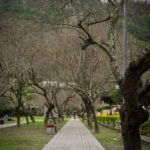 Tianxiang Recreation Area (天祥)