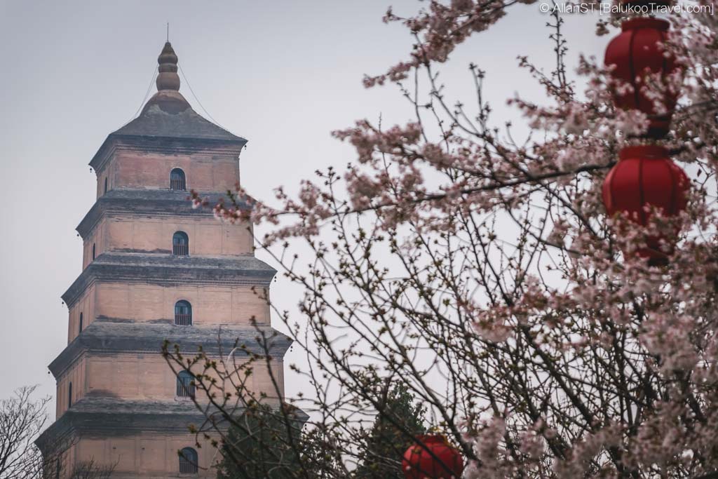 Giant Wild Goose Pagoda (Xi'an Attractions) Giant Wild Goose Pagoda (Xi'an Attractions)