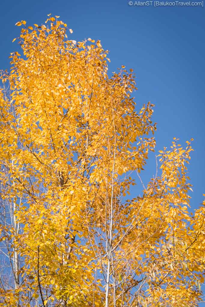 Autumn views at the lake