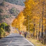 #D3: Dazu Pier 达祖码头