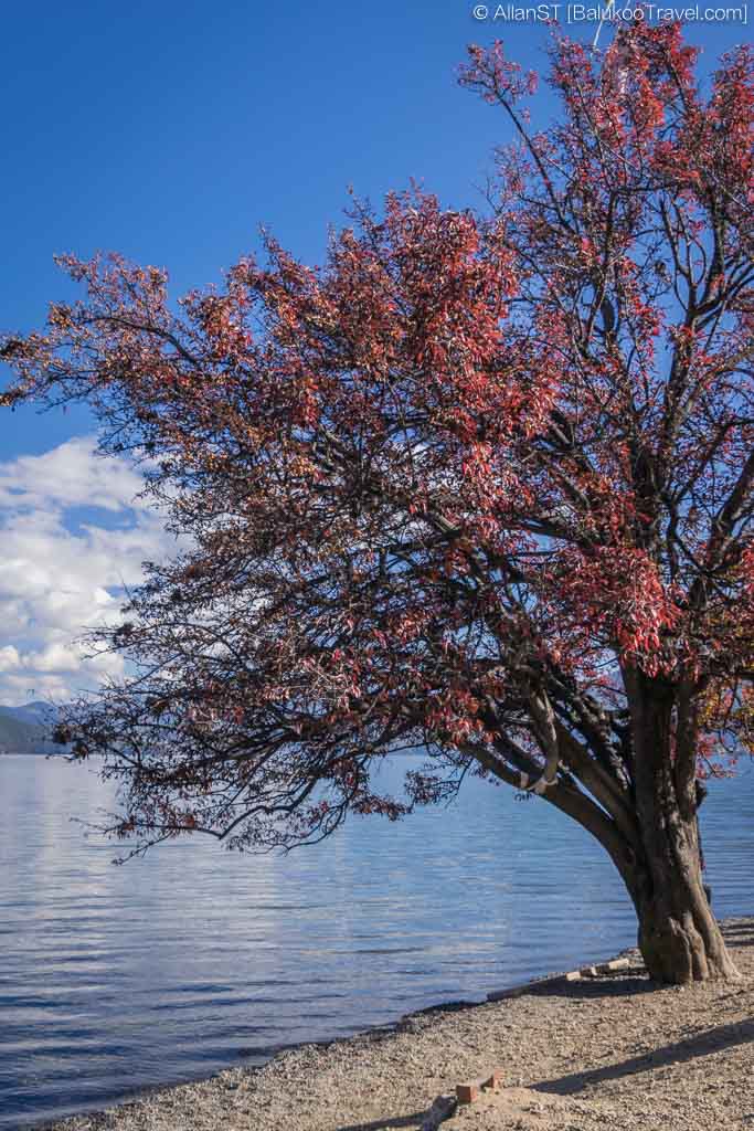 Lugu Lake Travel Guide 泸沽湖