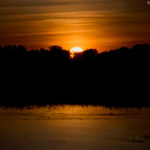Yellow Water Wetland